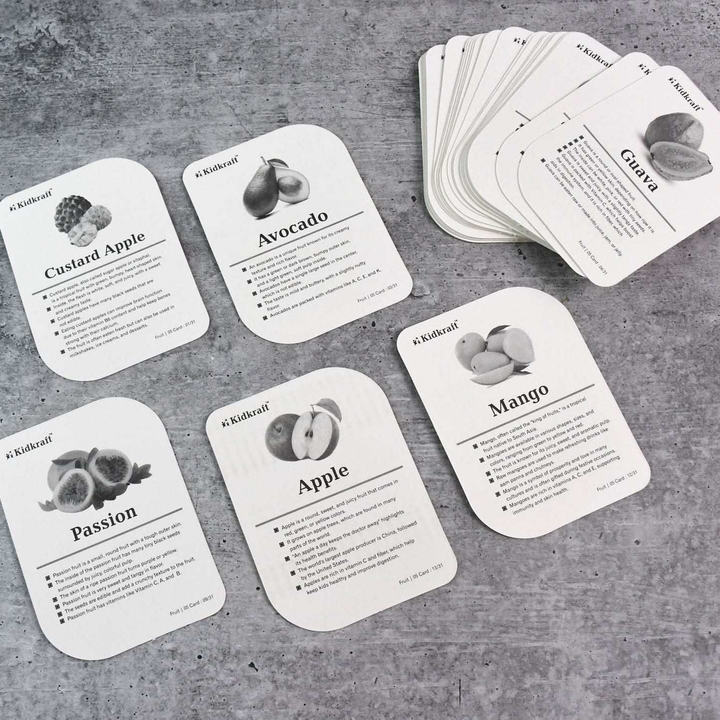 Kidkraft Early Learner Educational Flashcards 32 Birds