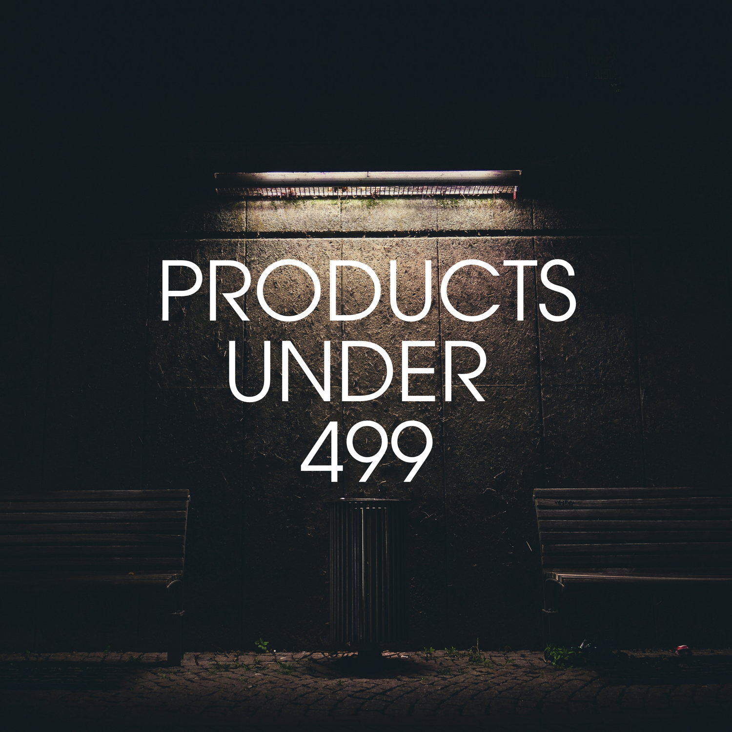 Product Under ₹499