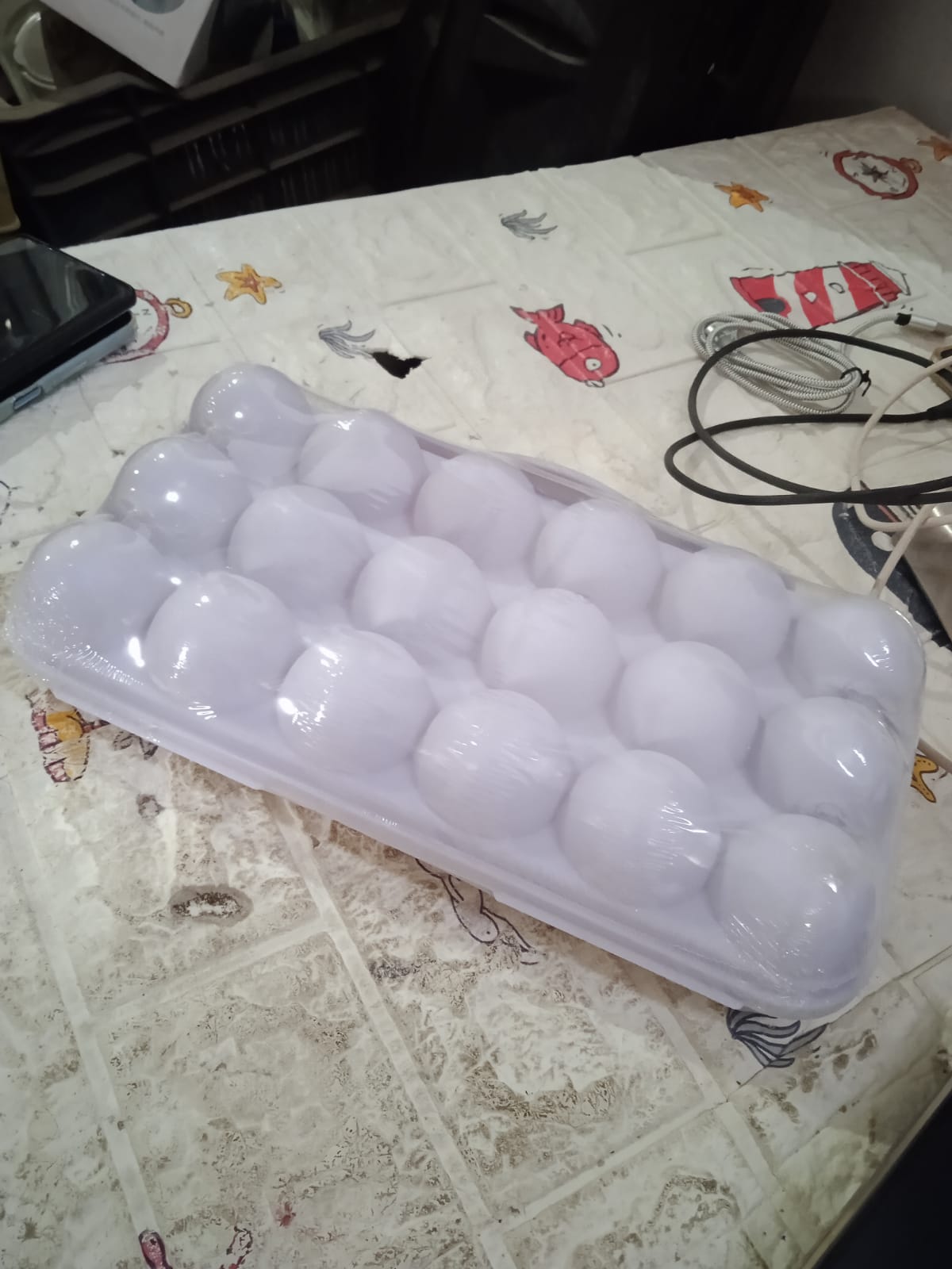 18 Grid Egg Holder With Buckle