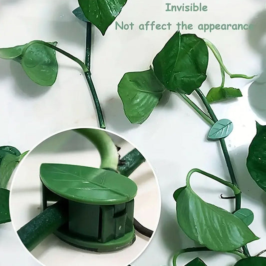 Plant Climbing Wall Fixture Clip Self-adhesive Hook Vines Traction Invisible Stand (30 Pcs Set)